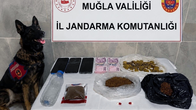 Jandarma KOM ekiplerinden Temmuz'da 24 operasyon