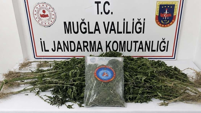 Muğla Jandarmasından uyuşturucu tacirlerine operasyon: 33 tutuklama