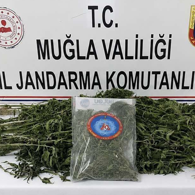 Muğla Jandarmasından uyuşturucu tacirlerine operasyon: 33 tutuklama
