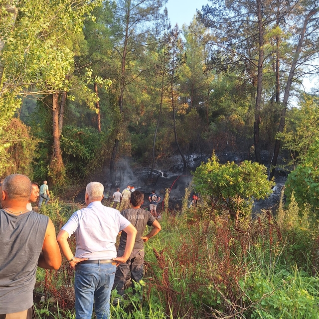 Köyceğiz'de ormanlık alana sıçrayan yangın kısa sürede söndürüldü