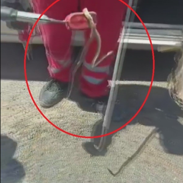 Aracına binerken fark ettiği yılanı itfaiye ekipleri yakaladı