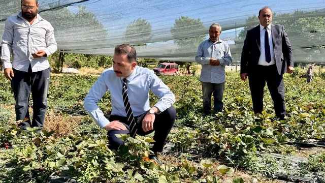 Kaymakam Hökelekli tarımsal üretimi sahada takip etti
