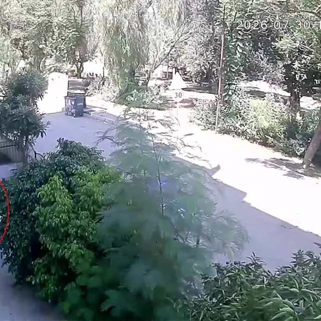 Rahat tavırlarıyla önce evi kontrol etti, sonra endüstriyel buzdolabını çal...