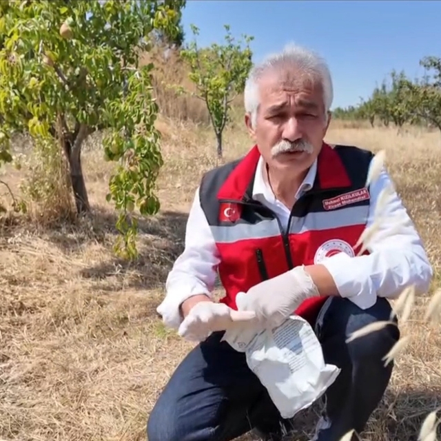 Tekirdağ'da çiftçiye tarla faresine karşı zamanında mücadele çağrısı