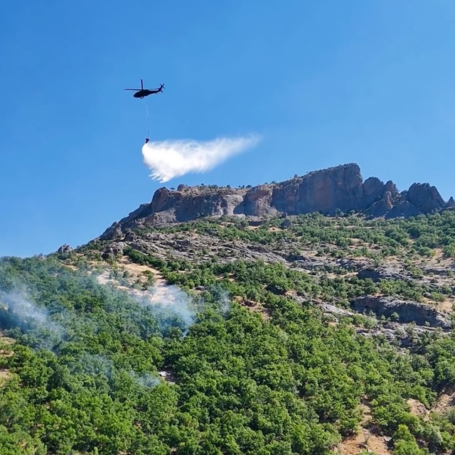 Munzur Vadisi Milli Parkı'ndaki yangın kontrol altına alındı