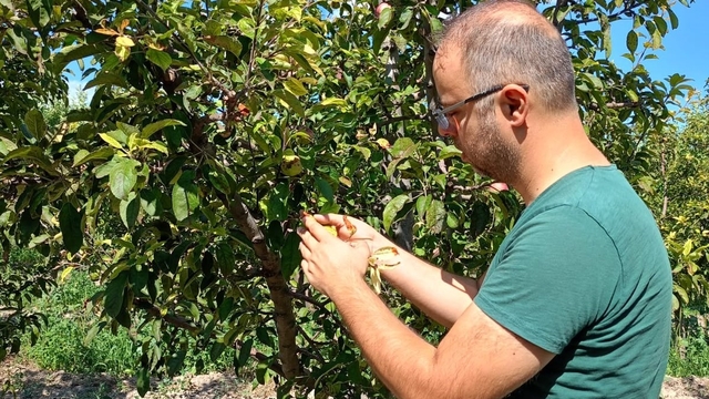Beyşehir'de tarım arazileri yakın takipte