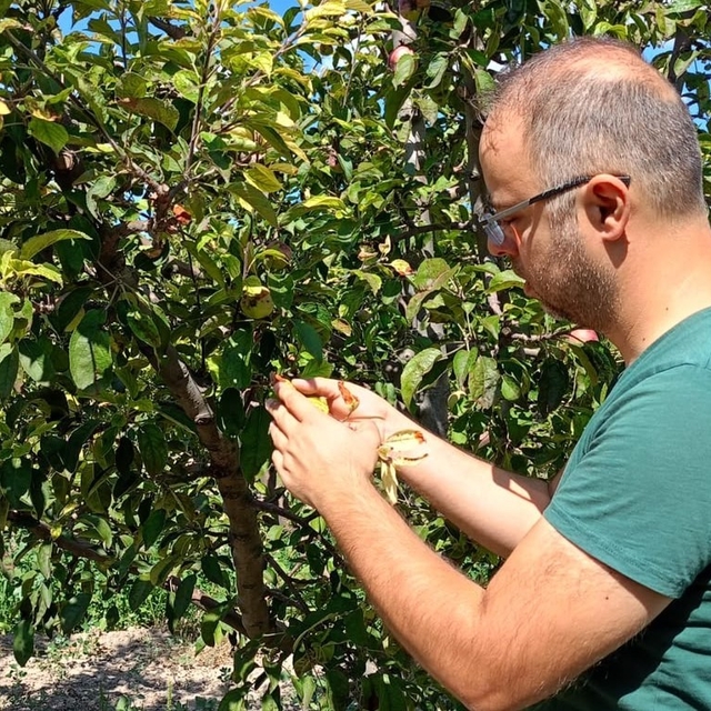 Beyşehir'de tarım arazileri yakın takipte