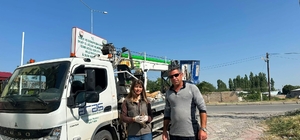 Iğdır'da doğada halsiz bulunan kerkenez koruma altına alındı