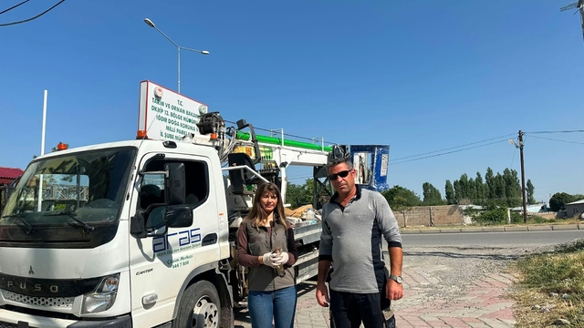 Iğdır'da doğada halsiz bulunan kerkenez koruma altına alındı
