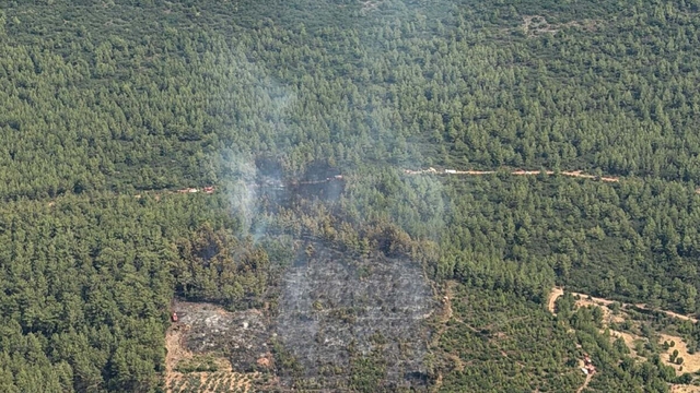Muğla'da orman yangını (2)