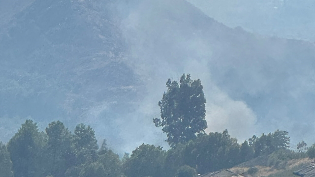 Dalaman'da orman yangını