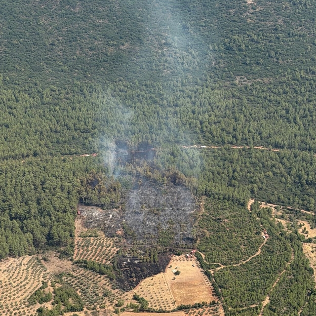 Yatağan'da korkutan zirai yangın kontrol altına alındı