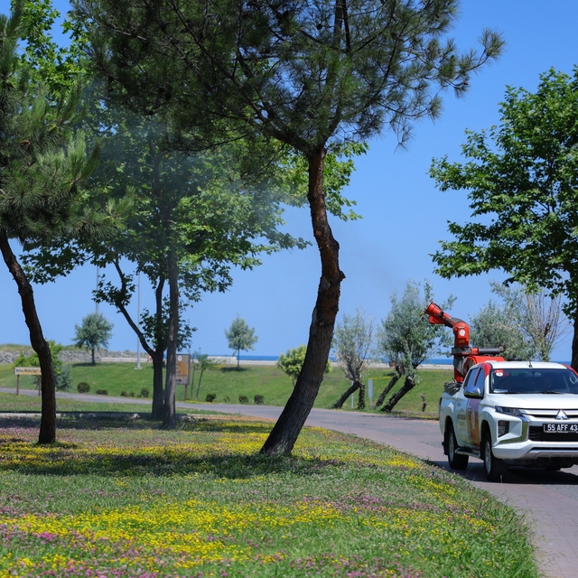 Samsun'da sivrisinek ve haşerelere karşı mücadele