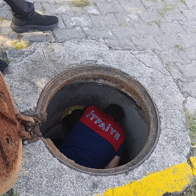 Kanalizasyon borusuna sıkışan yavru kedi kurtarıldı
