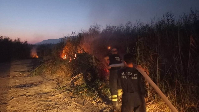 Samandağ'da kamışlık yangını