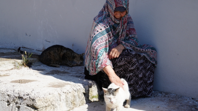 Bayburt'ta senelerdir sahipsiz hayvanları besleyen kadın, 10 yıldır baktığı sokak kedisini kaybetti: "İki gün ağladım"