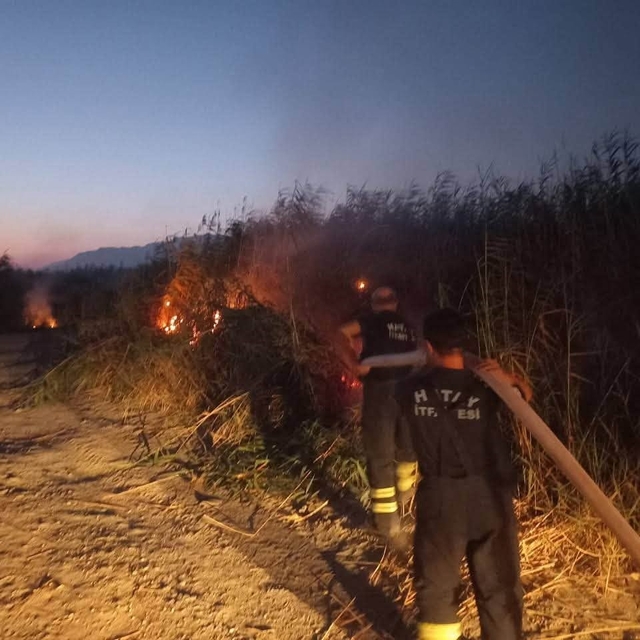 Samandağ'da kamışlık yangını