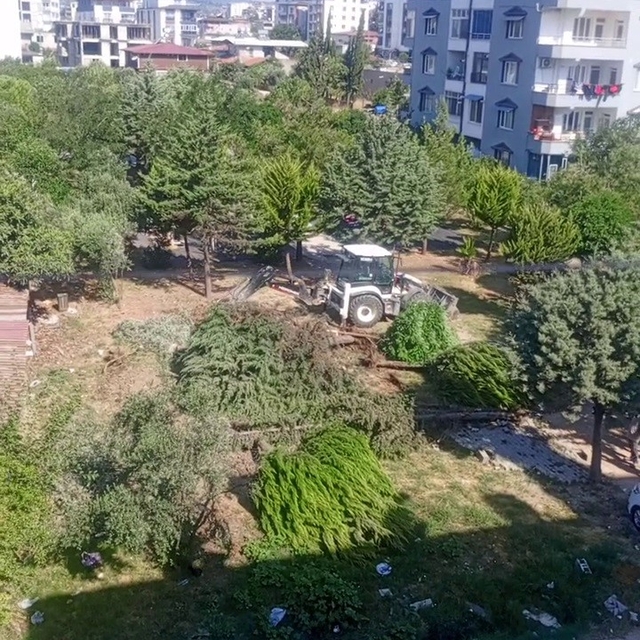 Parktaki ağaçların sökülmesine vatandaşlardan tepki