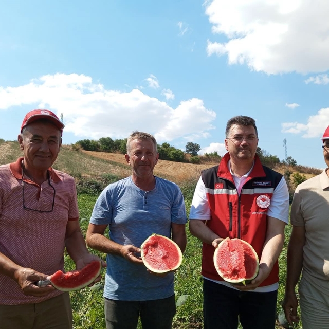 Tekirdağ karpuzu tezgâhlara çıkıyor