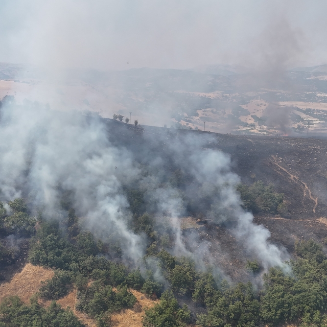 Tunceli'de orman yangını: Havadan ve karadan müdahaleye başlandı
