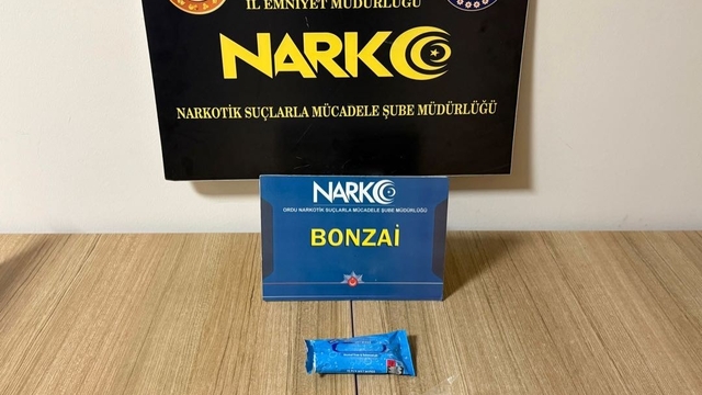 Ordu'da uyuşturucu operasyonlarında 2 tutuklama