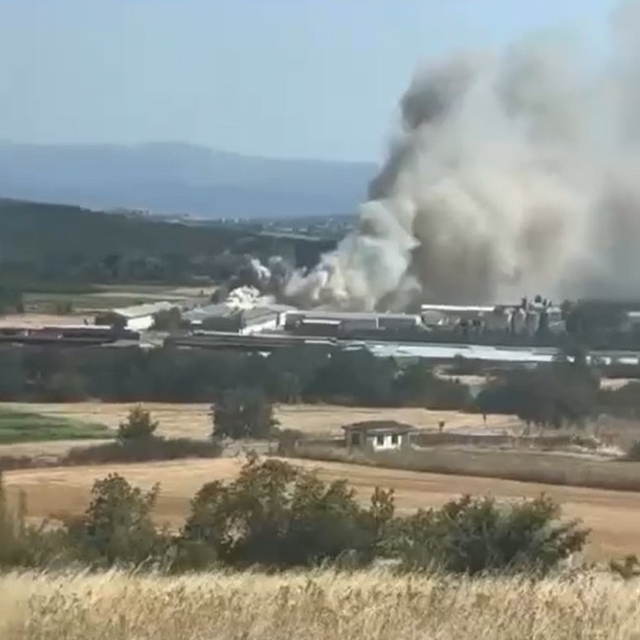 Bursa'da tavuk çiftliğinde yangın