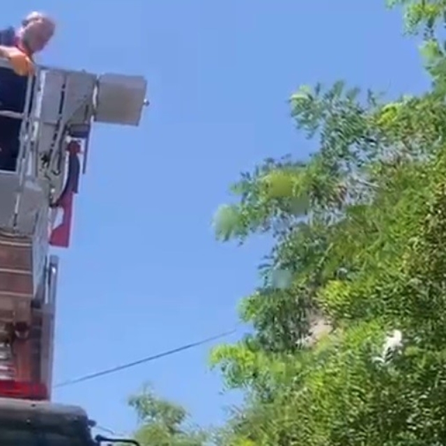 Ayağına dolanan ip kargayı mahsur bıraktı, itfaiye kurtardı