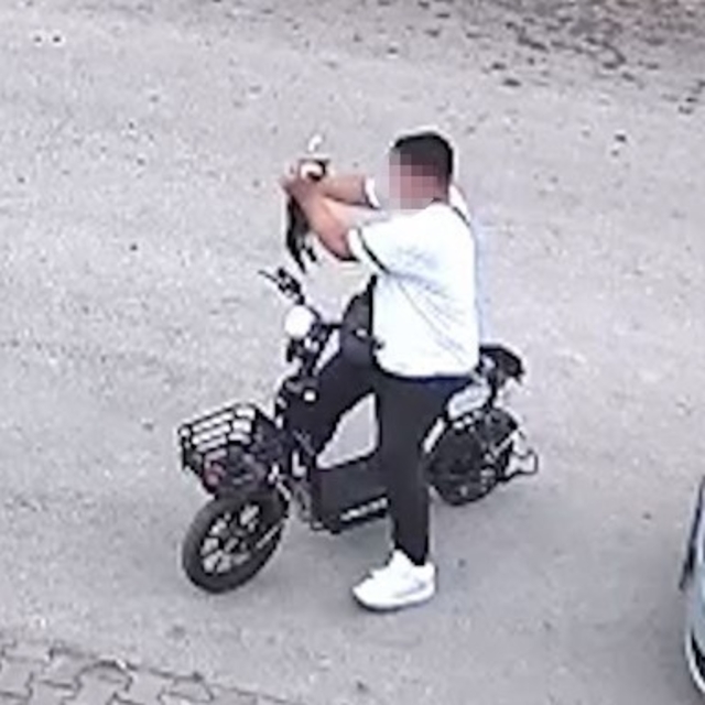 Bolu'da yavru kediyi önce öpüp sonra boğan otizmli çocuk serbest bırakıldı