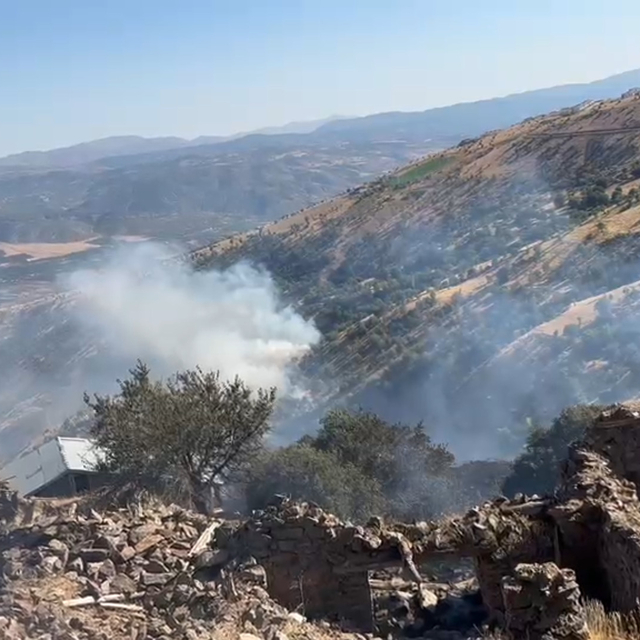 Malatya'da orman yangını