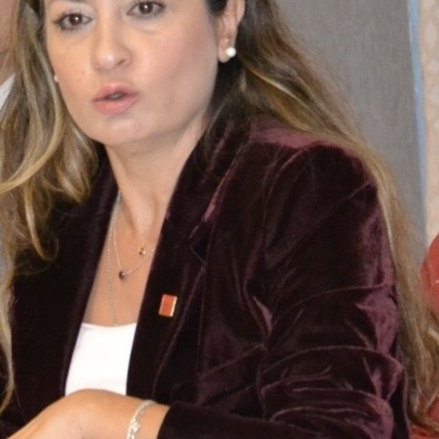 Yeni Parti Manisa İl Başkanı İlksen Özalper gözaltına alındı