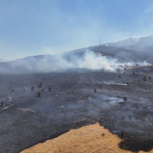 Tunceli'deki orman yangını söndürüldü