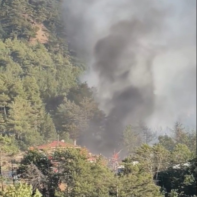 Bolu'da ormanlık alanda çıkan yangın kontrol altına alındı