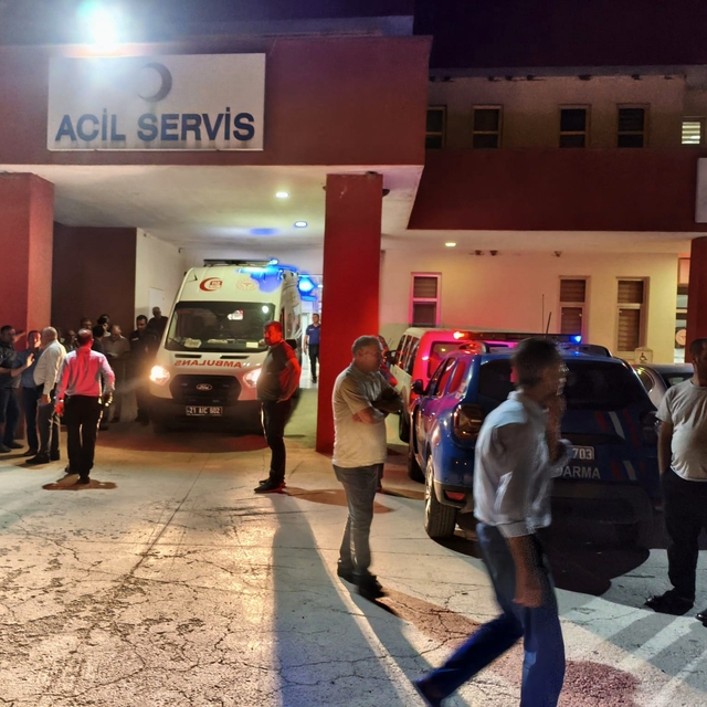 Huysuzlaşan inek sahibini ağır yaraladı