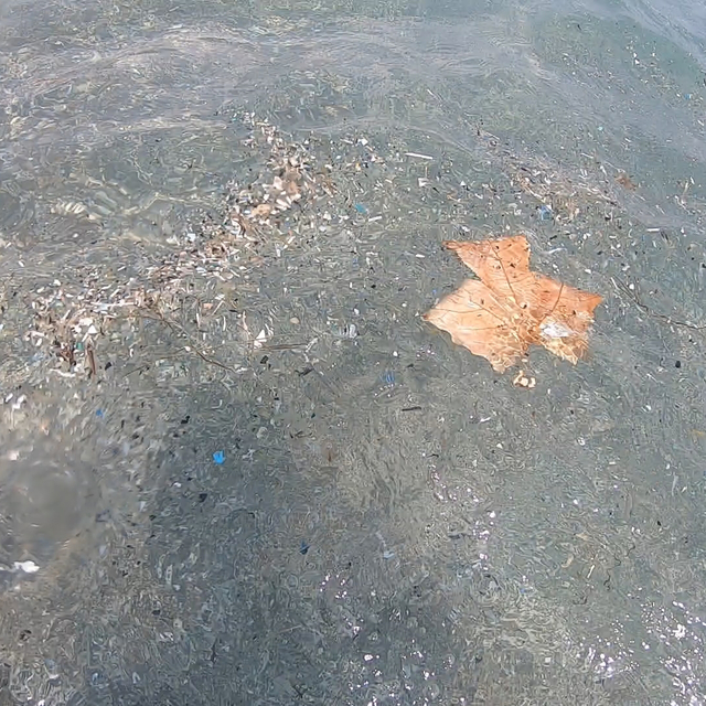 Antalya kıyılarında mikroplastik alarmı; canlıların ölümüne sebep olabiliyo...