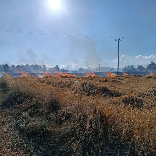 Kastamonu'da çıkan yangında 13 dönümlük tarar zarar gördü