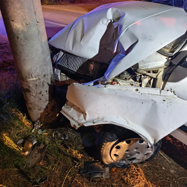 Susurluk'ta otomobil şarampole devrildi:1 yaralı