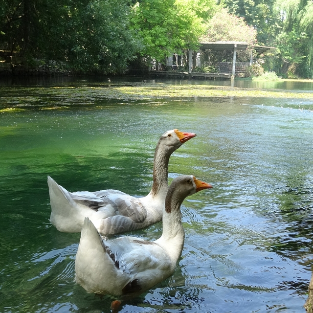 Akyaka'yı aratmayan Bucak Vadisi doğaseverlerin gözdesi