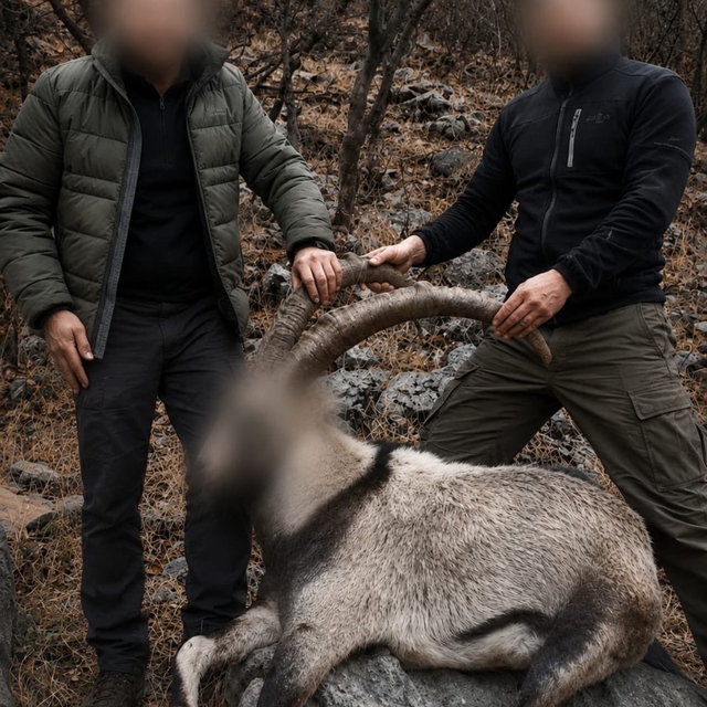 Siirt'te koruma altındaki 5 yaban keçisini avlayanlara ceza