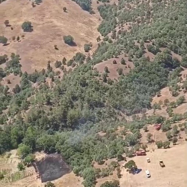 Bursa'da orman yangınına havadan ve karadan müdahale