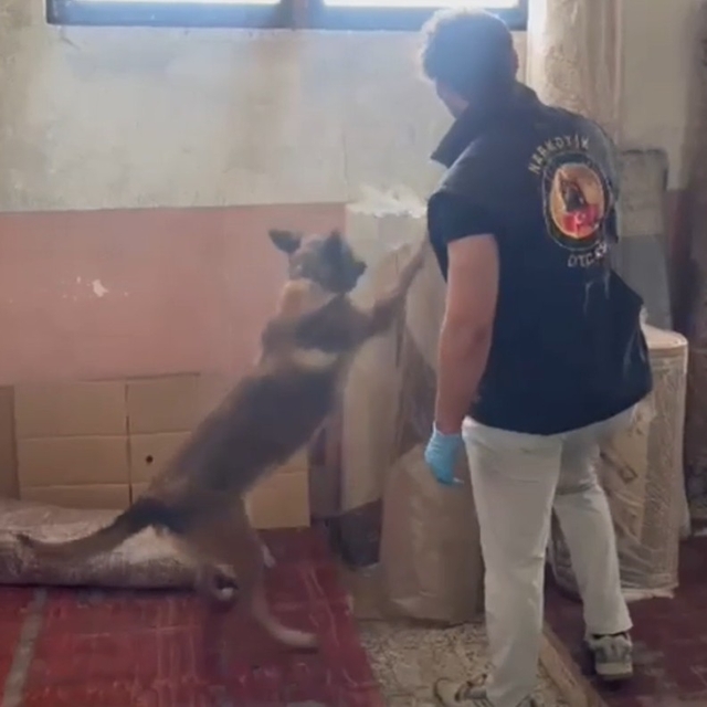 Kastamonu'da 19 ayrı noktada eş zamanlı narkotik operasyonu: 15 gözaltı