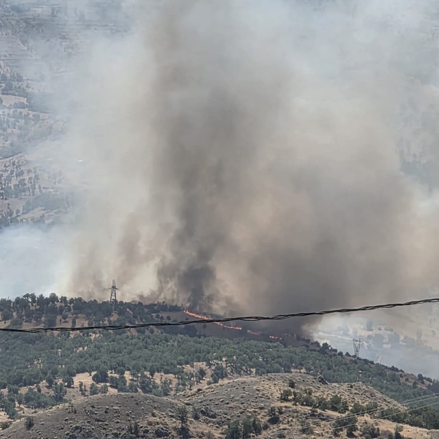 Adıyaman'da orman yangını
