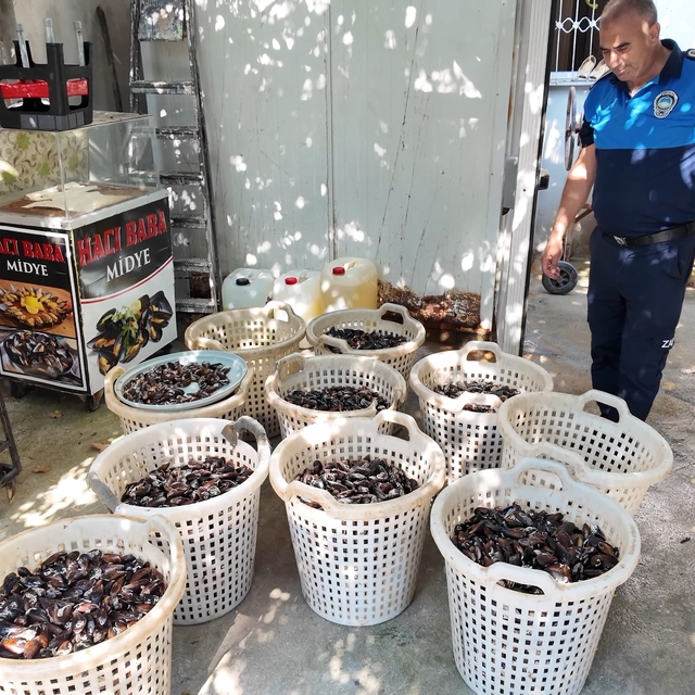 Mersin'de 200 kilo bozuk midye dolması ele geçirildi
Gazete kağıdıyla pişir...