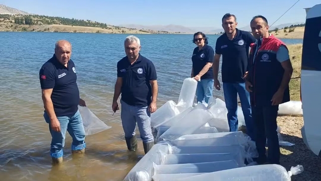 Burdur'da göl ve göletler yavru sazanlarla buluştu
