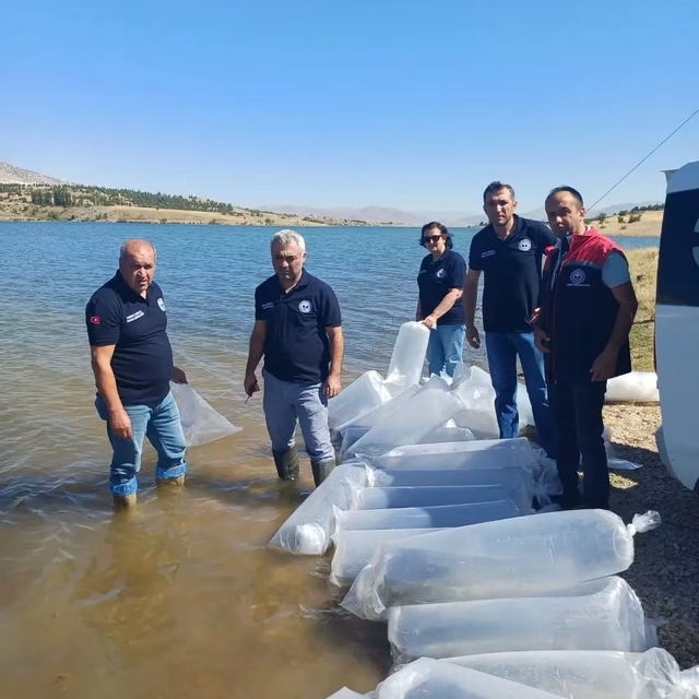 Burdur'da göl ve göletler yavru sazanlarla buluştu