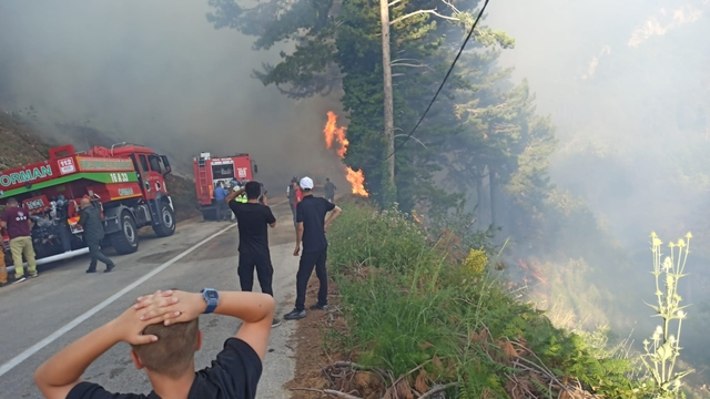 Uludağ'da orman yangını (3)