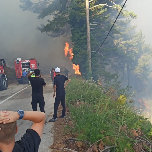 Uludağ'da orman yangını (3)