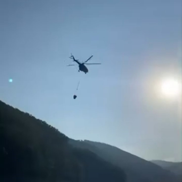 Uludağ'da çıkan orman yangını söndürüldü