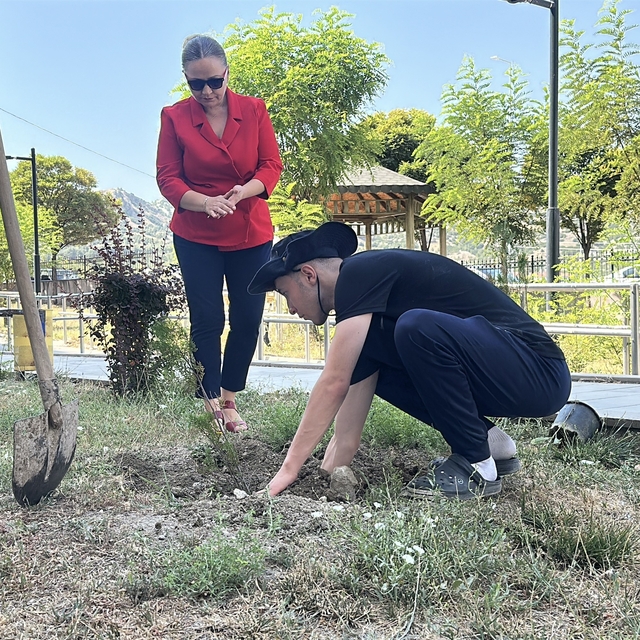 Konut dokunulmazlığını ihlal etti, adliye bahçesine 10 fidan dikti
Şikayeti...