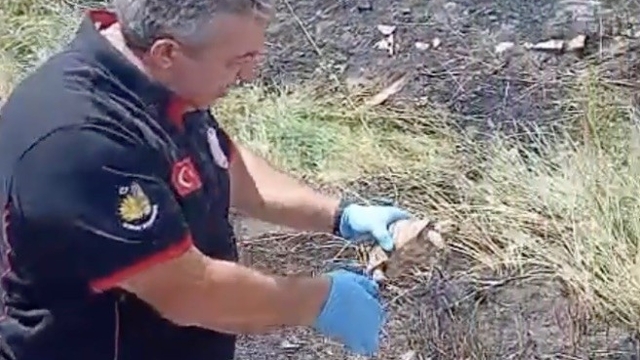 İtfaiye ekipleri yangından kurtardıkları kaplumbağayı suyla serinletti
