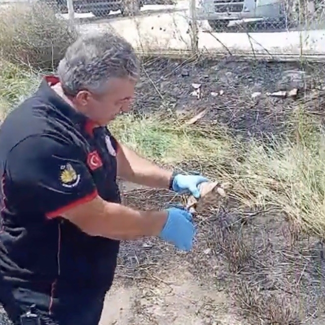 İtfaiye ekipleri yangından kurtardıkları kaplumbağayı suyla serinletti